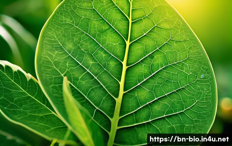 광합성과 탄소 고정 - A detailed close-up illustration of a vibrant green leaf under bright sunlight, showing chlorophyll ...