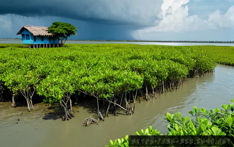 기후 변화와 생태계 - Photorealistic split-environment landscape in coastal Bangladesh, one side showing a healthy lush ma...